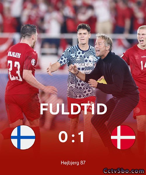 芬兰  0 - 1  丹麦